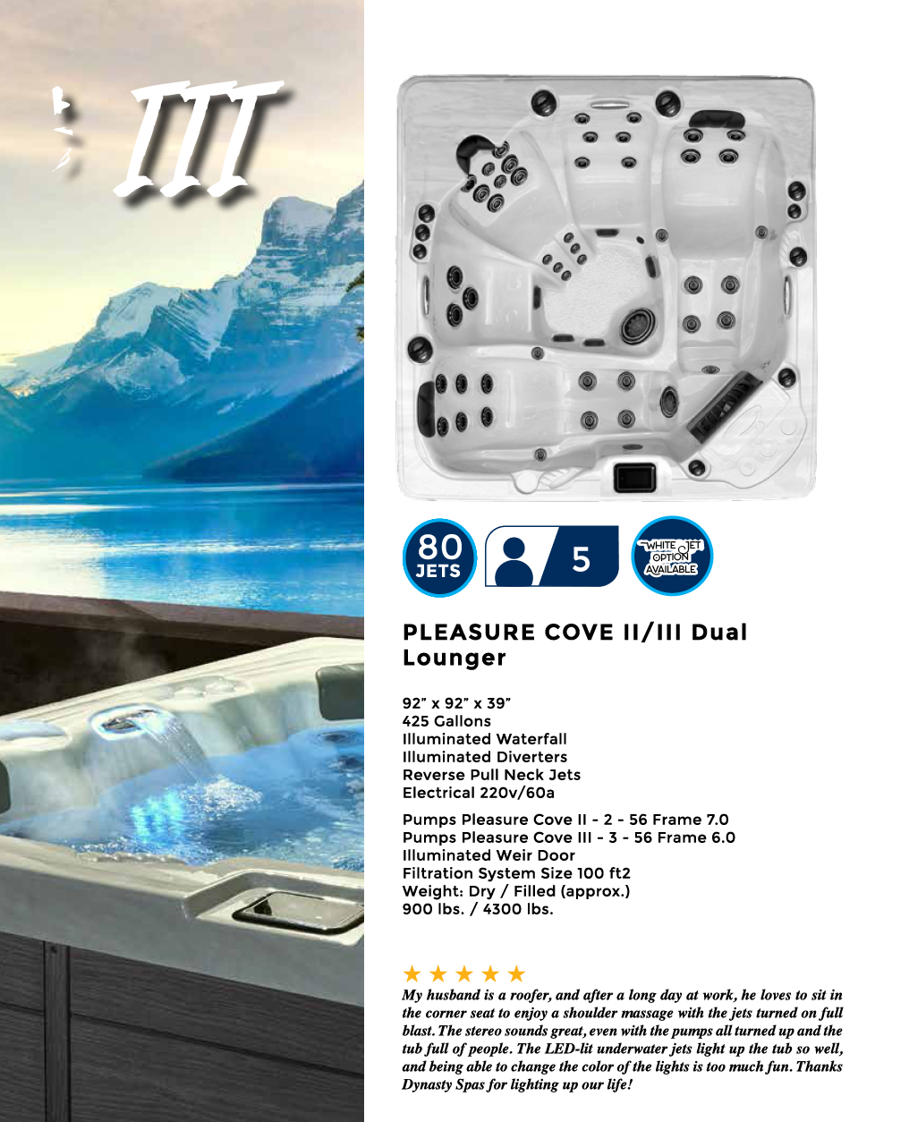 Dynasty Spas Hot Tubs - Oasis Collection - Pleasure Cove Features