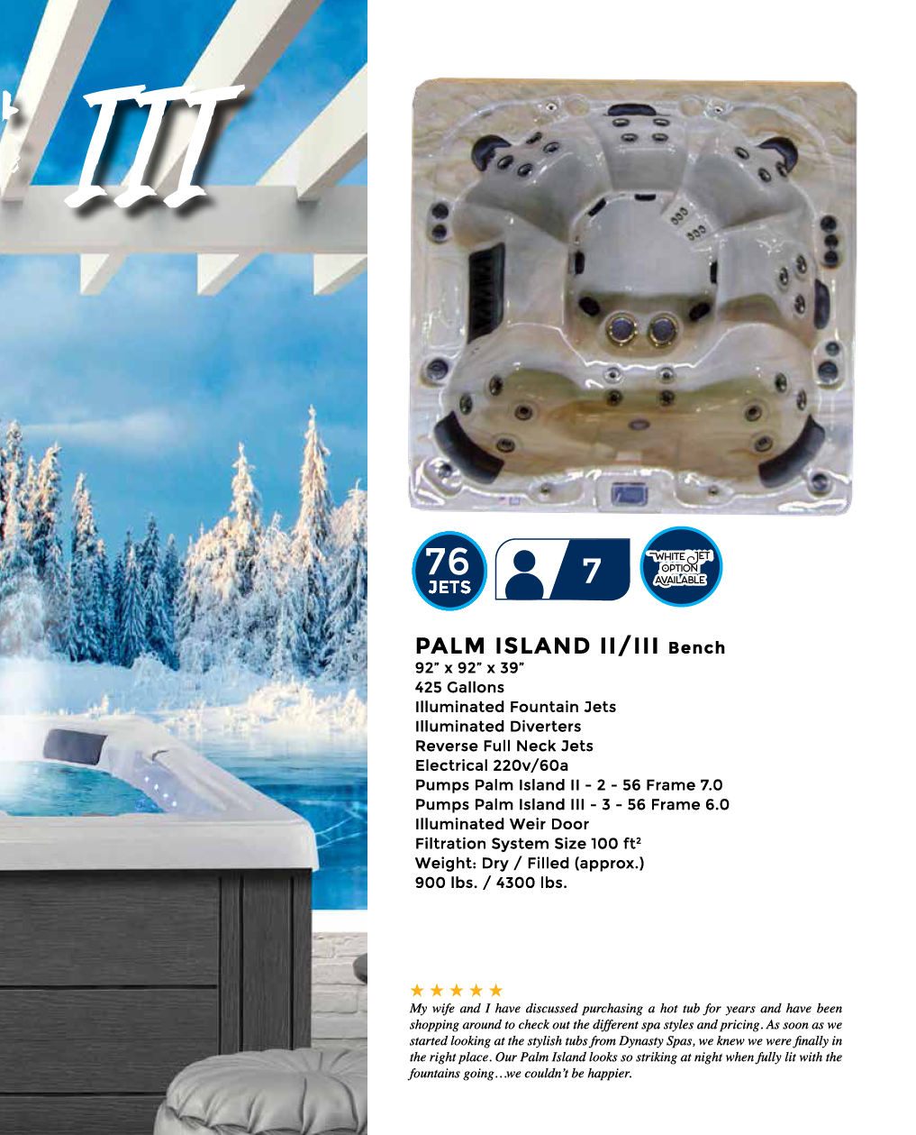 Dynasty Spas Hot Tubs - Oasis Collection - Palm Island Features