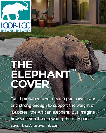  In Ground Pool Covers, Liners, Fencing, Luxury Pool Products Lehigh Valley Poconos PDC Spa and Pool World
